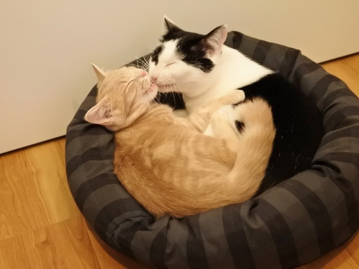 ふたりでシャワシャワしているところ（mimoeさん提供）