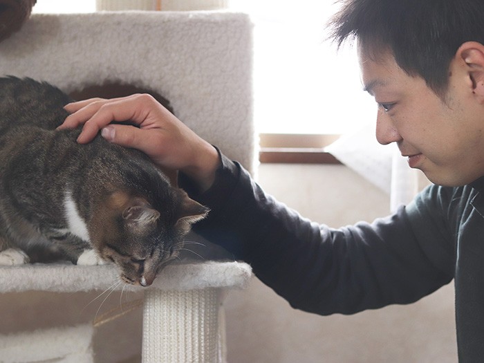 「カイ」くん。TNRのつもりだったが、すっかり甘えん坊になり、新しい飼い主を探すことに