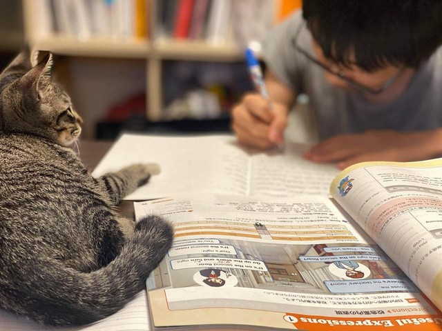 お兄ちゃん、ちゃんと勉強してる？