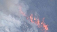 岡山市の山火事の現場　24日午後4時半ごろ