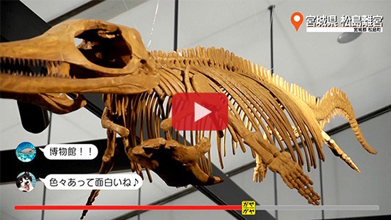 #548宮城県 松島離宮②