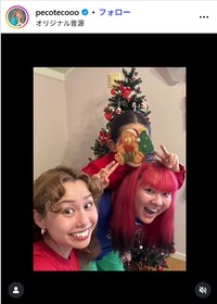 pecoのインスタグラム@pecotecoooより
