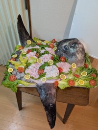 まさかのマンボウの姿造り！（提供：奇食崇拝者 Rikutoさん）
