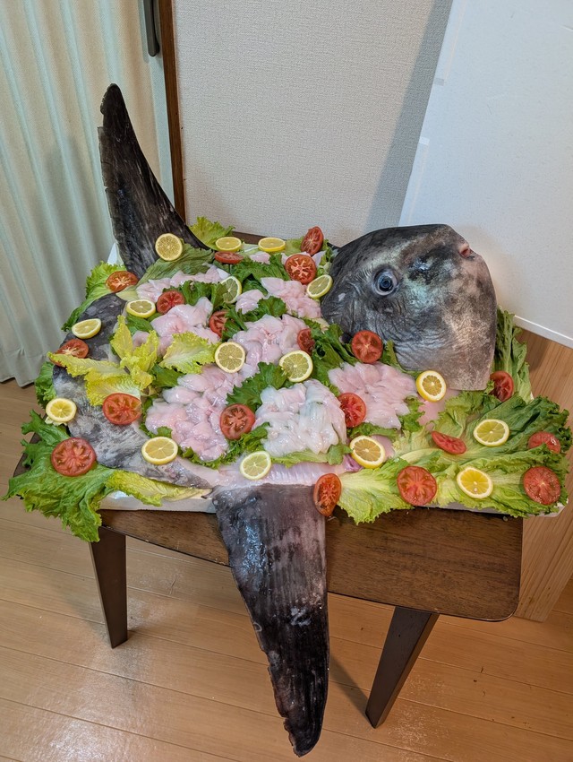 まさかのマンボウの姿造り！（提供：奇食崇拝者 Rikutoさん）