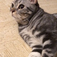 大きな目、小さな鼻、全てが可愛くてキュン！