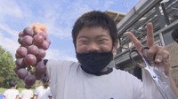 甘い粒の見分け方は？　小学生がブドウの収穫体験　香川・三豊市