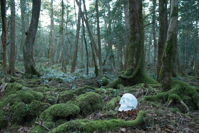 廃墟で白骨遺体が発見されました　※画像はイメージです（Paylessimages/stock.adobe.com）