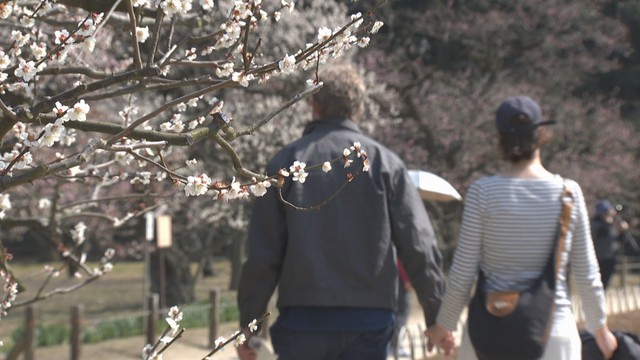 22日は岡山・香川で20℃超え　津山市と高梁市は夏日に