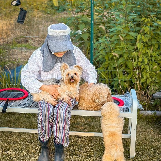 お隣さん。犬好き同士のつながりが生んだ理想の関係性にほっこり／犬猫大家族in福岡さん（@amkclo6）提供