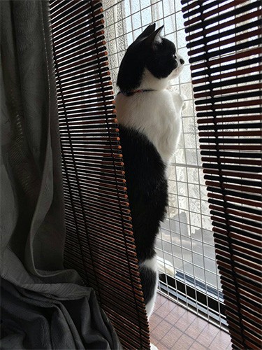 外ってどんなところなんだろ