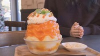 「トロトロかぼちゃのキャラメルパイ（1000円）」