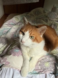 6月には16歳の誕生日を迎えていた