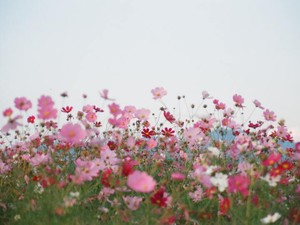 一番に結婚のお祝いをくれたのは「嫌われた」と思っていた元彼だった