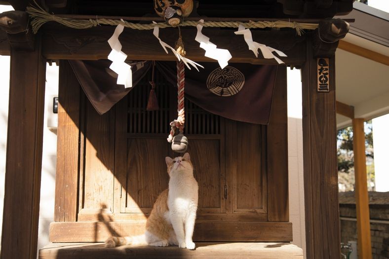 「明日は勝てますように」（大空出版提供）