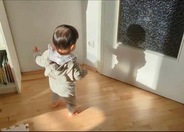 あれ？あれれれ？なんだこれ？（@sukegongon0401さん提供）