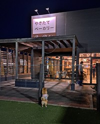 パンに夢中～！（画像提供：白足のもかとブラタンのるるさん）