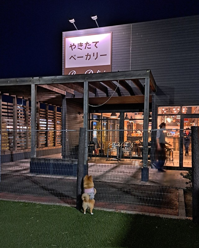 パンに夢中～！（画像提供：白足のもかとブラタンのるるさん）