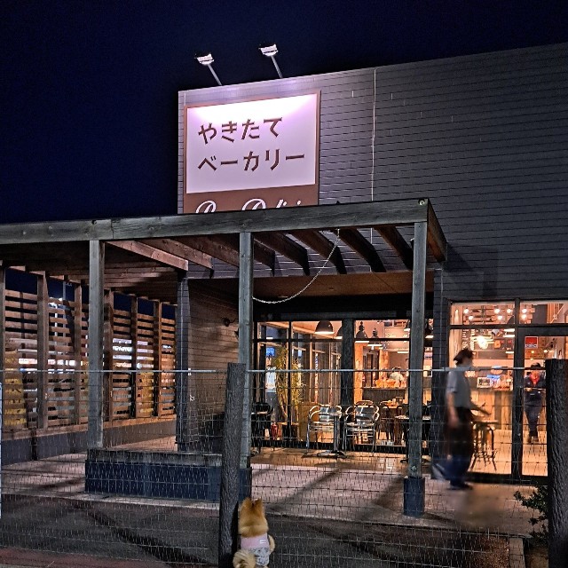 パンに夢中～！（画像提供：白足のもかとブラタンのるるさん）