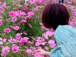 ミノハラミノリ