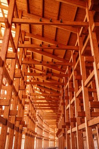 （朱詠瞳さん撮影）