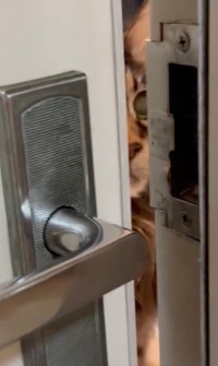 ドアの向こうにいたストーカーは……（動画からキャプチャー／提供：パクもりさん）