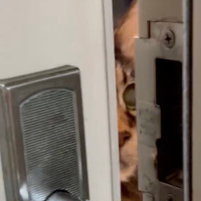 ドアの向こうにいたストーカーは……（動画からキャプチャー／提供：パクもりさん）