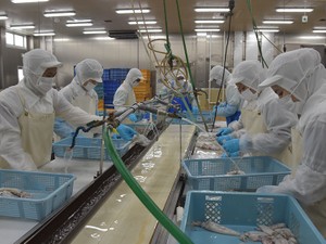 苦境の外国人労働者をJICAが支援　生き続ける「緒方イズム」