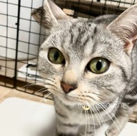 保護主さんから送られてきた写真