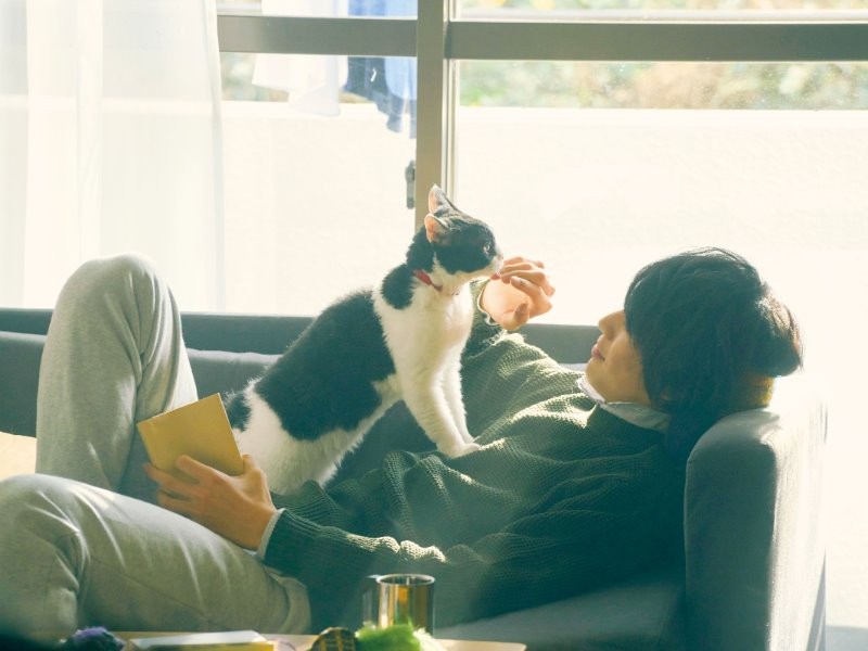 ©2018「旅猫リポート」製作委員会　©有川浩／講談社