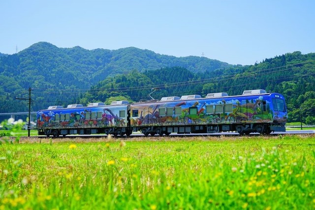 福井駅ー勝山駅を走る「恐竜列車」福井県立恐竜博物館 常設展観覧料など含め4900円