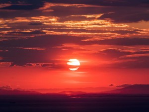 月に一度か二度は頭痛で仕事を休む同僚。不満を言う人もいるけど、痛みの感じ方は人それぞれだから