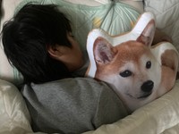 しゅんくんが毎日抱いて寝ているぬいぐるみは、チャコちゃんファンの方が作ってプレゼントしてくれた物（パパさん提供）