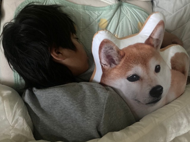 しゅんくんが毎日抱いて寝ているぬいぐるみは、チャコちゃんファンの方が作ってプレゼントしてくれた物（パパさん提供）