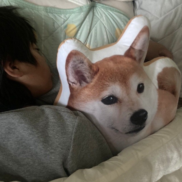 しゅんくんが毎日抱いて寝ているぬいぐるみは、チャコちゃんファンの方が作ってプレゼントしてくれた物（パパさん提供）