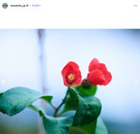 宮内庁インスタグラムから