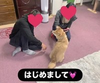 Setsukoさん夫婦と龍くんの初めての出会い（meguさん提供、Instagramよりキャプチャ撮影）