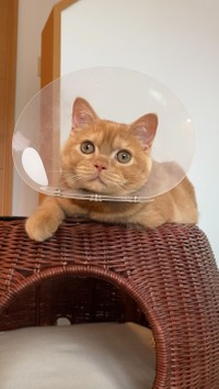 ちょっぴり慣れてきたようです（提供）