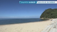 田の浦海岸　東かがわ市