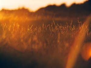 昨日まで笑いあっていた友人が、今日は無視する。誰も信じなくなった