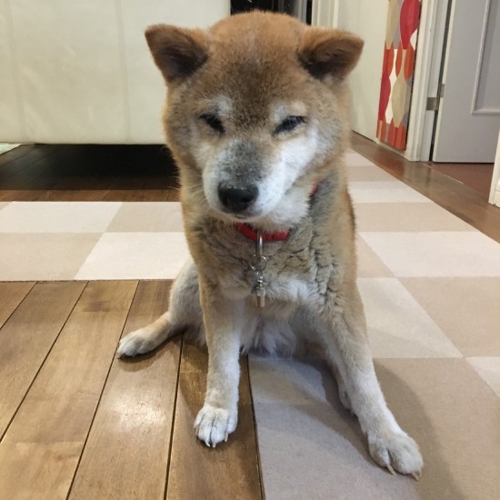 眠いんだけどまだ遊びたい