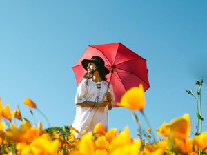 スマホを忘れてアナログな待ち合わせ。たまにはスマホなしも悪くない