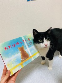 里親さんが保護施設に入ると、カズマくんの方から寄ってきて、手をペロペロとなめたという（飛田さん提供）