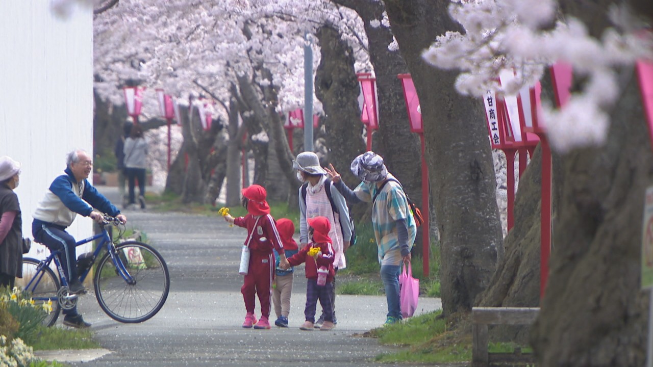 川沿い約600メートルを彩る50本のソメイヨシノが満開 岡山 真庭市美甘地区 Ksbニュース Ksb瀬戸内海放送