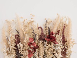 結婚しないと半人前？どんな生き方も認める世の中になることを願う