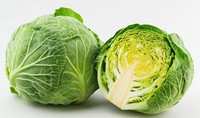 春キャベツの美味しい選び方とは※画像はAIが作成したイメージです（TheoTheWizard/stock.adobe.com）
