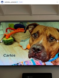 ドジャースの山本由伸選手の公式インスタグラムから