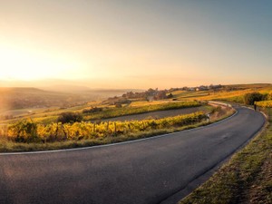 29歳でフリーターの私に「自由でいいね」と言う友人。逆風は強い