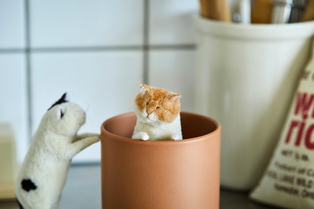 キッチンにあるマグカップに入ったり