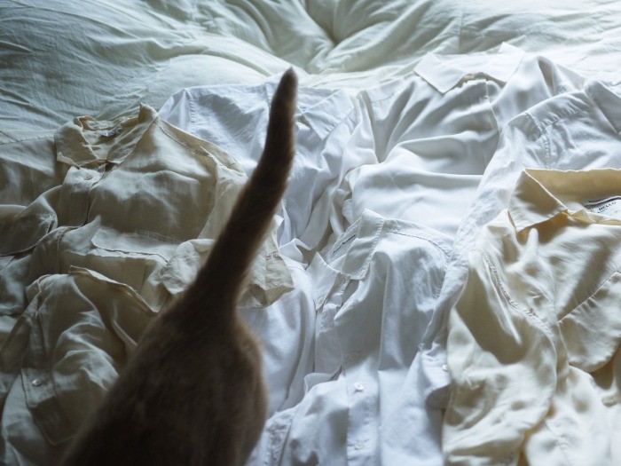 堪能して去っていく水丸さん。