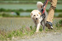 推定生後3〜5歳にして初めて名前をもらったテオ